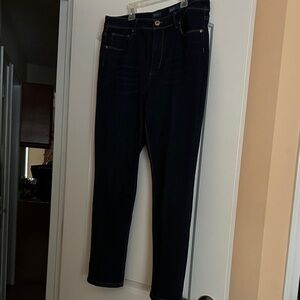 J. Jill Midnight Blue Skinny Jeans